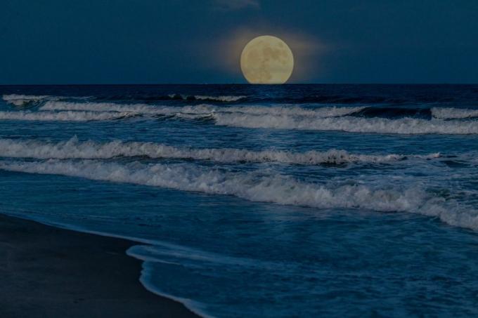 volle supermaan stijgt op boven de oceaan nabij Myrtle Beach South Carolina