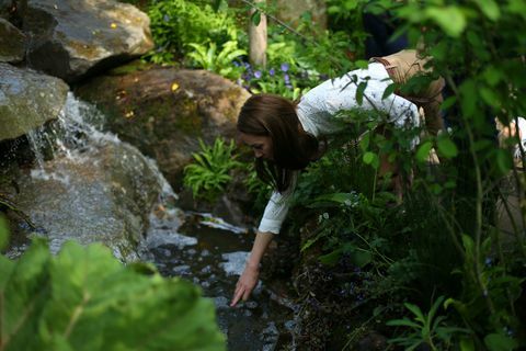 rhs chelsea flower show 2019 persdag