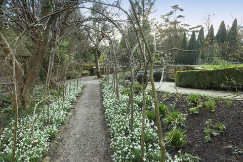 York Gate tuin Yorkshire archway sneeuwklokjes