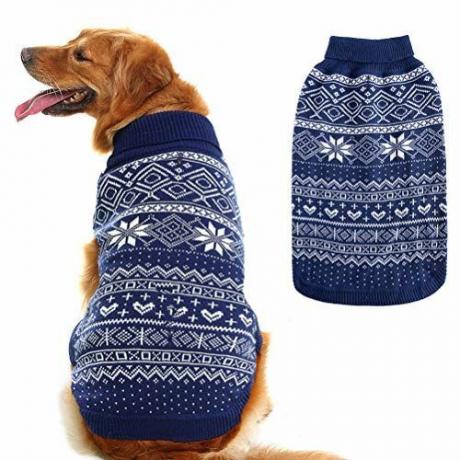 Warme trui voor honden
