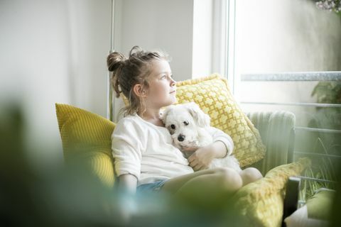 meisje, zittend op een stoel thuis knuffelen met haar hond