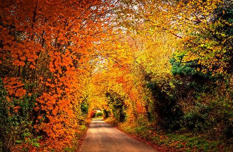 herfstbladeren herfst equinox