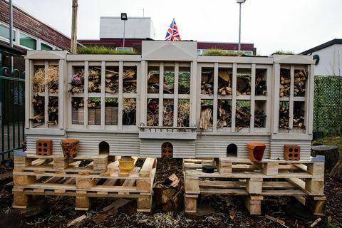 Kinderen creëren een insectenhotel