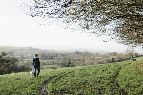 Een vrouw die met een hond op hoge grond loopt die het platteland overziet.