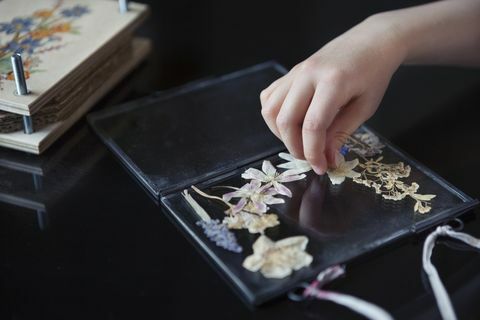 kind 6 7 geperste wilde bloemen op een glazen lijst schikken