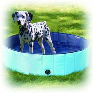 Pawise Dogs Peuterbad - Medium