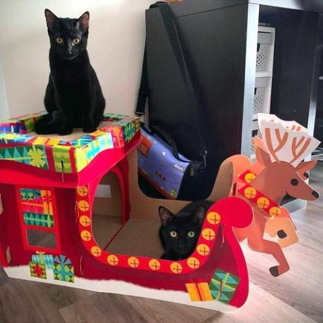 target wondershop kerst kattenkrabhuis