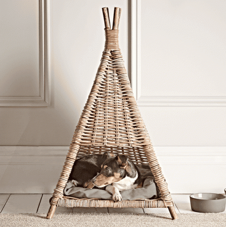 Rotan huisdier Tipi