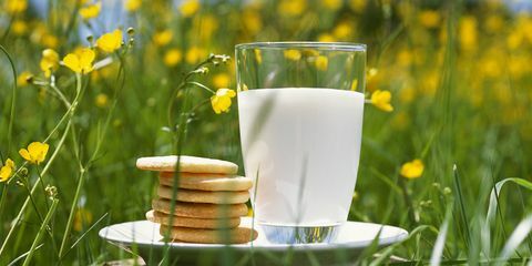 melk in het veld