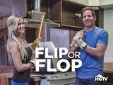 Flip of Flop