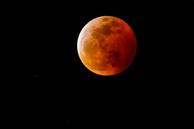 een bloedmaan, of volle maan met een roodachtige schaduw als gevolg van een totale maansverduistering, aan de nachtelijke hemel
