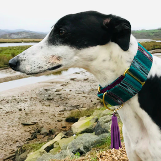 Bedouin Martingale Halsband in Oasis Green