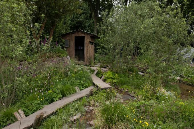 een rewilding brits landschap rhs chelsea bloemenshow