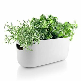 Self-Watering Herb Organizer