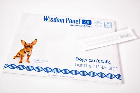 Wisdom Panel honden-DNA-kit, RRP £ 75