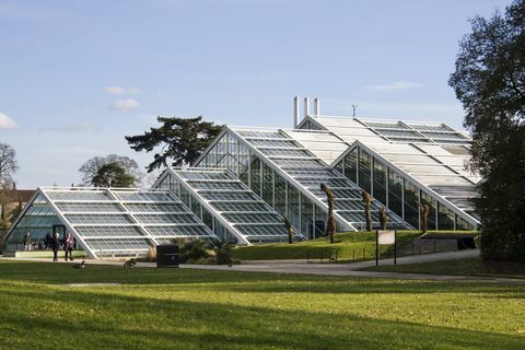 De Princess of Wales Conservatory in Kew Gardens