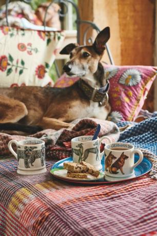 emma bridgewater voorjaarscollectie