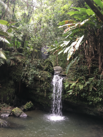 El Yunque waterval zwemmen gat