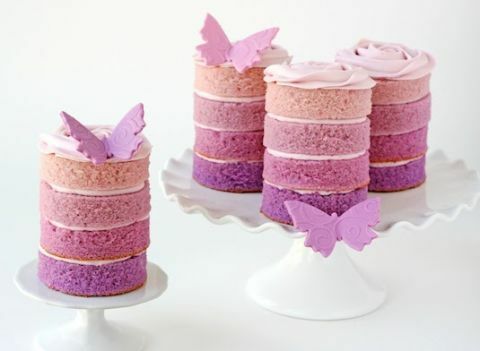 paarse ombre cakes vlinders