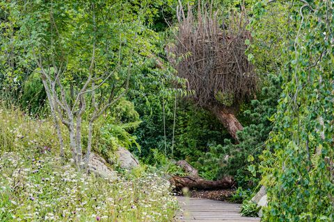 Kate Middleton Back to Nature garden