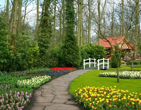 tuin in de buurt van een klein huis