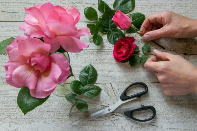 bijgesneden afbeelding van bloemist die roos met bloemen op tafel houdt