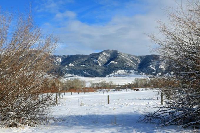 winters uitzicht op de bridger-bergen gezien vanaf bozeman montana foto door don en melinda crawforducguniversal images group via getty images