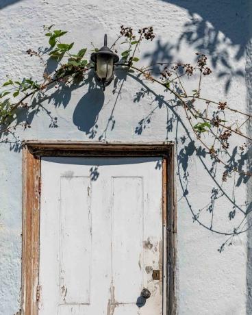 dit sprookjesachtige paddenstoelenhuis staat te koop in Noord-Londen