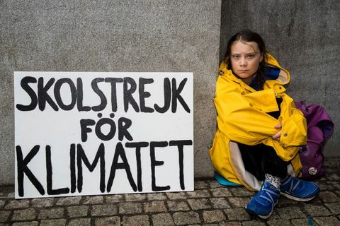 Greta Thunberg-portretten