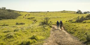 paar wandelen door de natuur