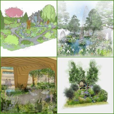 chelsea flower show 2021 showtuinen