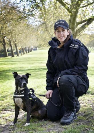 roxy de zoektocht politiehond