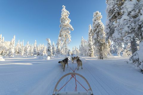 Eerste virtuele vakantie naar Lapland