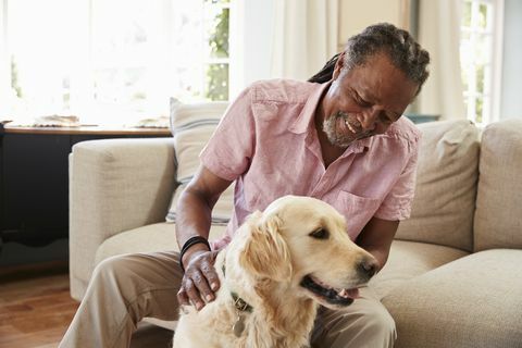 senior man zit op de bank thuis met huisdier labrador hond