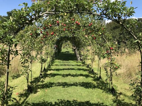 de appelbogen bij cliveden, verzorgd door de nationale trust