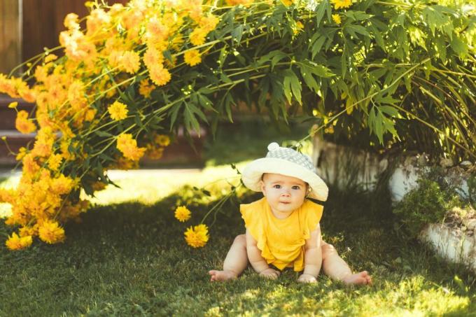 een babymeisje met een zonnehoed zit in de tuin onder een grote gele bloemenstruik