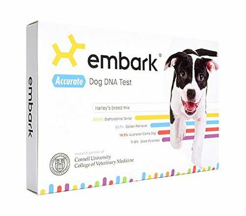 Er is een Lightning Deal op de Embark Dog DNA-kit voor Amazon Prime Day