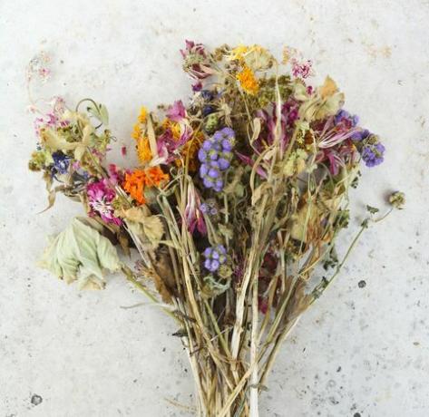 duitsland, beieren, een bos verdorde veldbloemen en roze rozen op een grijze plaat