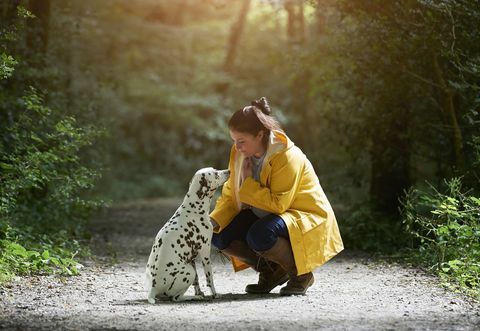 Vrouw met Dalmatische hond op bosweg.