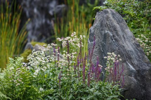 bodmin jail 60° oost – een tuin tussen continenten ontworpen door ekaterina zasukhina met carly kershaw gesponsord door bodmin jail en bodmin jail hotel show garden rhs chelsea flower show 2021 stand no 1