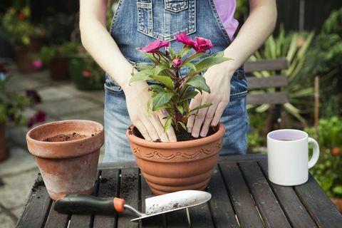 Ideeën voor kleine tuinontwerpen