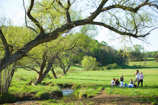 Bundoran Farm zomerpicknick