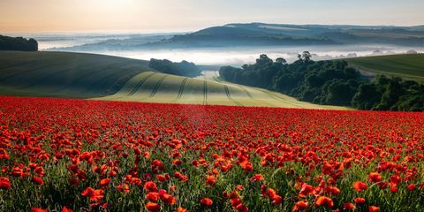 Winnaar landschapsfotograaf van het jaar 2018