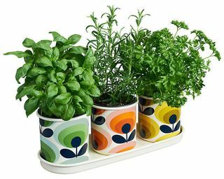 Orla Kiely 70's Flower Herb Pots, Set van 3