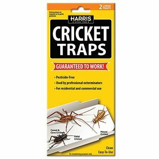 Harris Cricket Lijmvallen