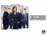 Law & Order: SVU seizoen 20