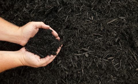 Zo bereidt u uw tuin voor op de lente