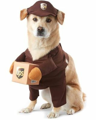 UPS Pet kostuum 