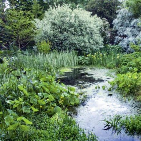 ideeën voor waterornamenten vijver