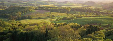 Het platteland van Dorset